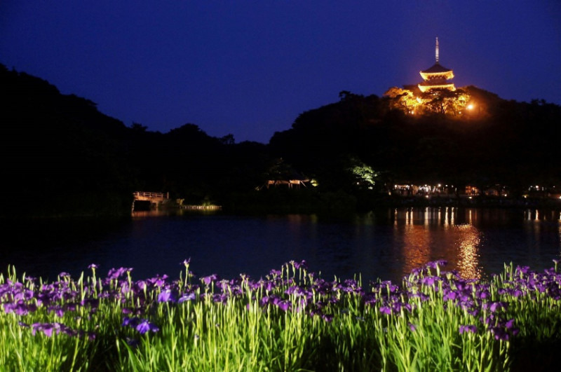 【5月25日（金）～6月3日（日）】ほのかな光に癒される穏やかな時間♪～三渓園　蛍の夕べ～
