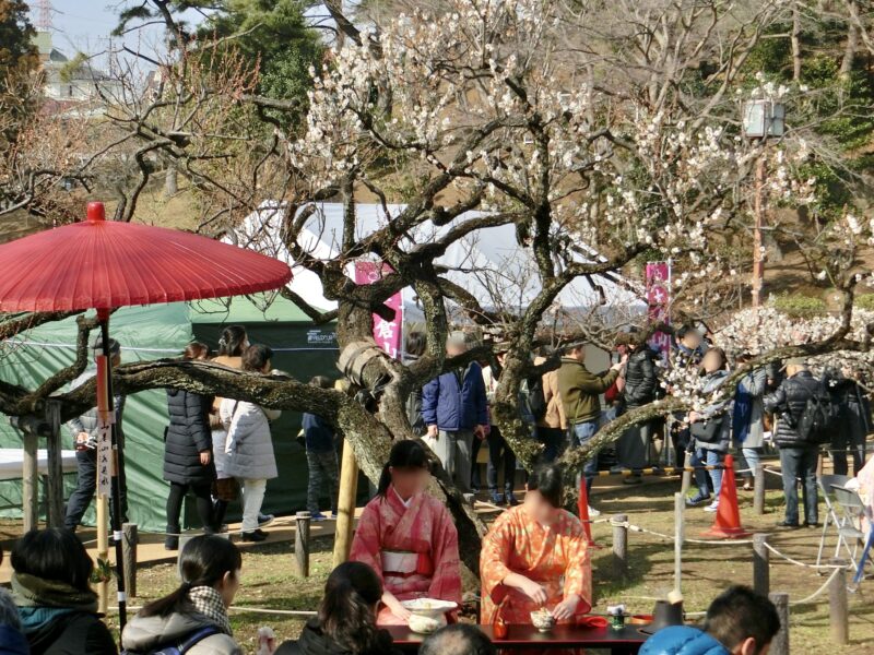 【2月22日（土）・23日（日）】港北区の春のイベント　～第32回大倉山観梅会～
