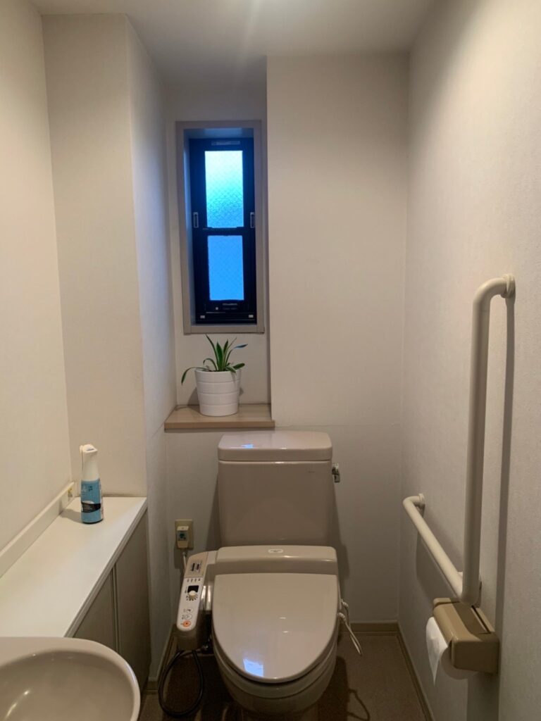 toilet_before