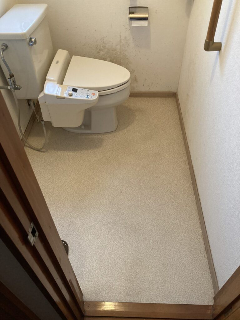 toilet_before