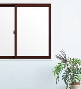 インプラス_ショコラーデG