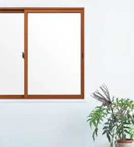 インプラス_キャラメルウッドG