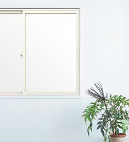 インプラス_ホワイト