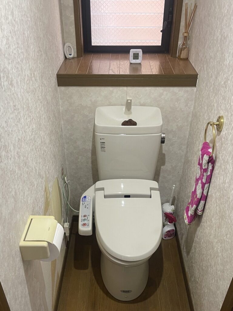 toilet_before