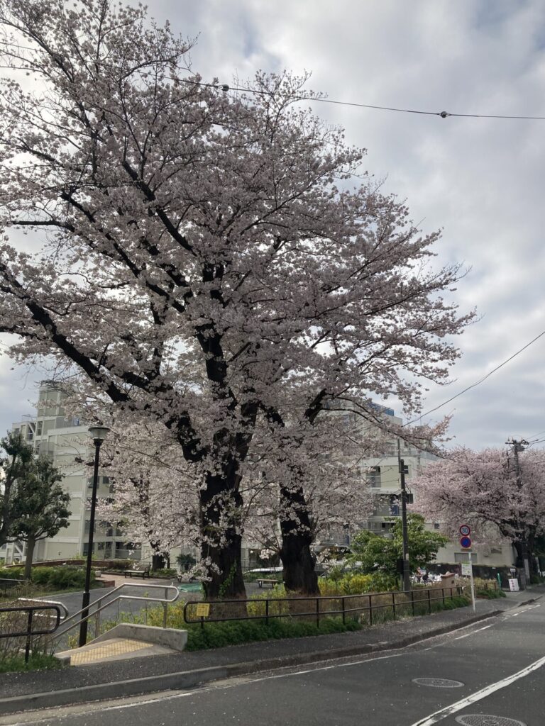 東希望が丘小学校