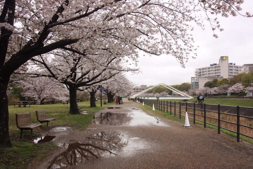 新横浜駅前公園