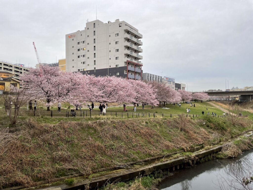 早淵川親水広場