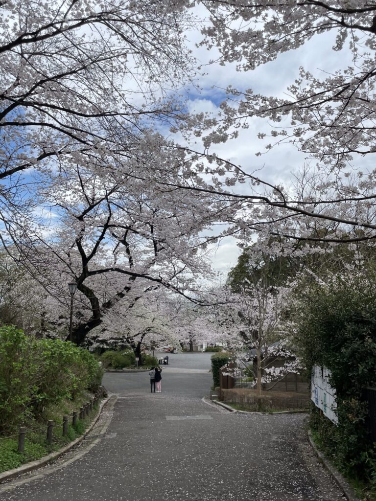 掃部山公園