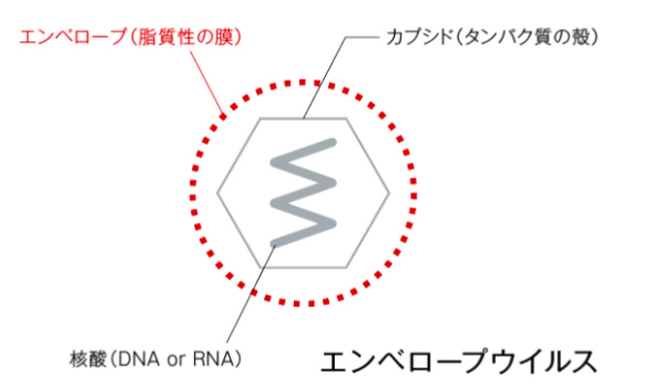 エンベロープウイルス