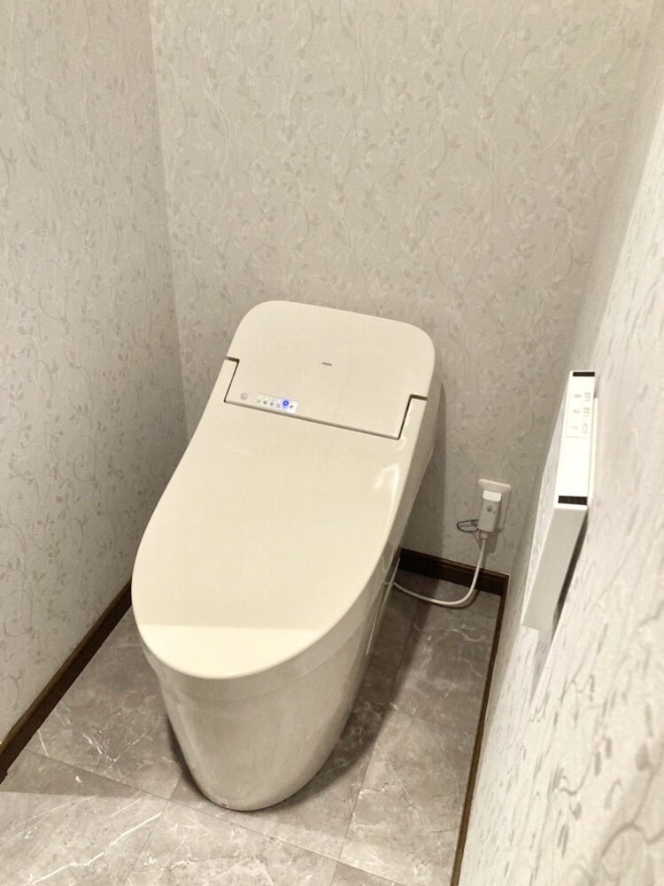 toilet_after