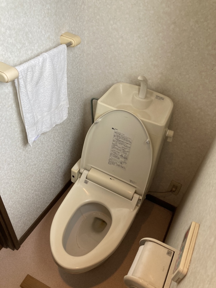 toilet_before