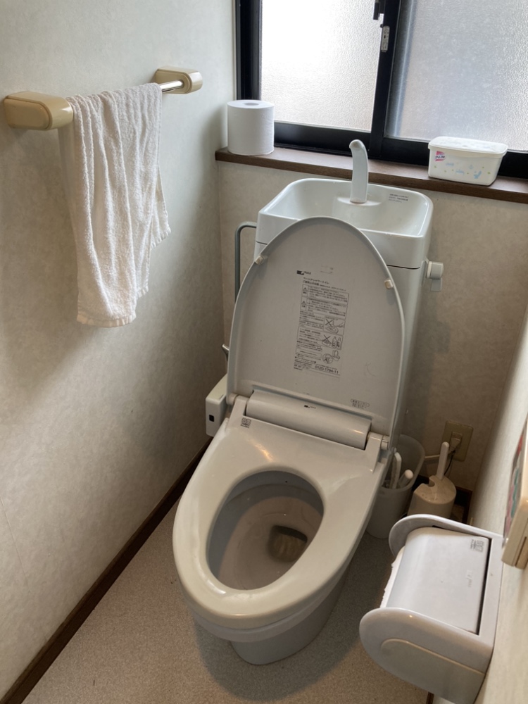 toilet_before