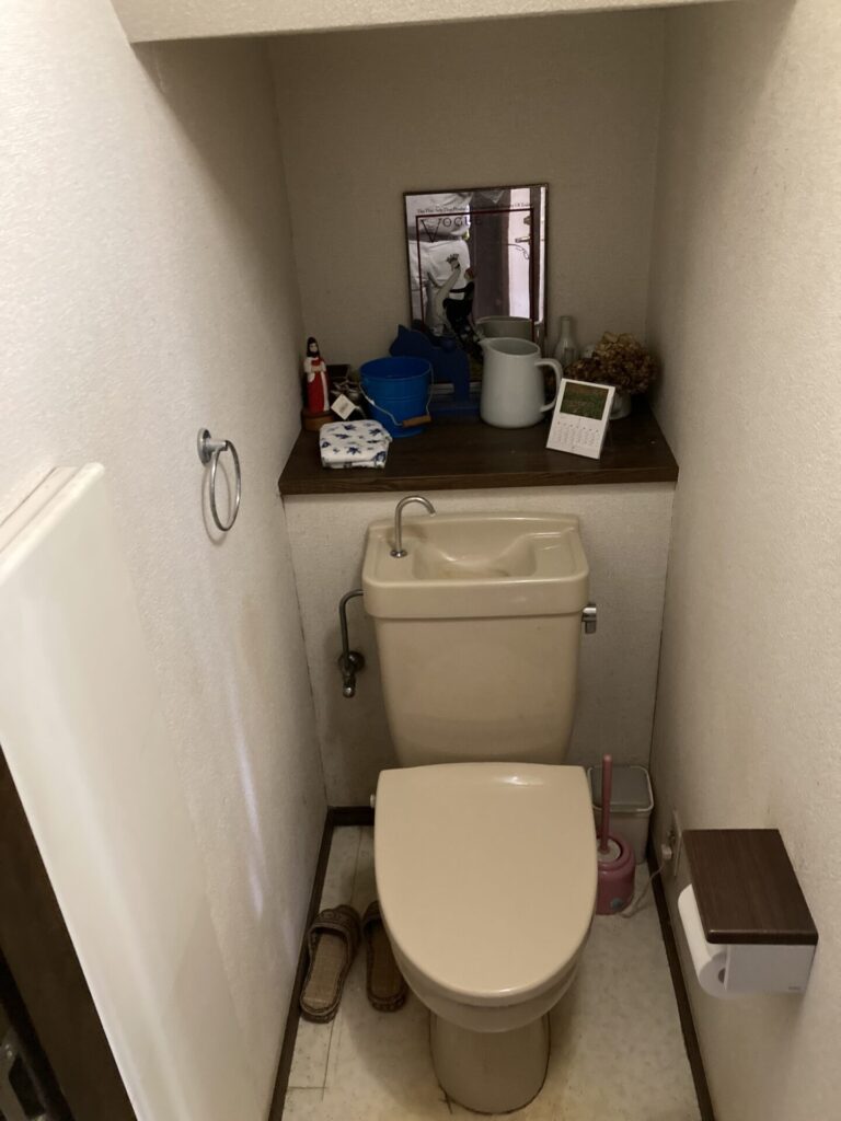 toilet_before